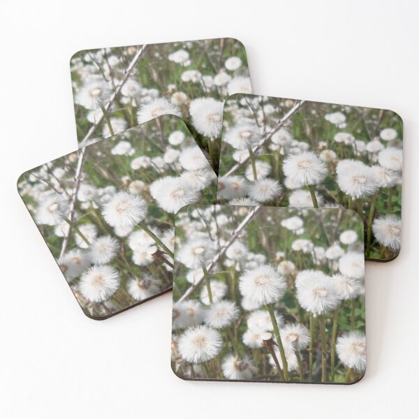 Item preview, Fluffy Seed Heads of Coltsfoot designed and sold by londonartworks.