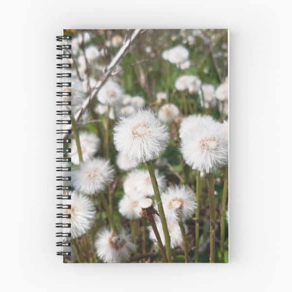 Item preview, Fluffy Seed Heads of Coltsfoot designed and sold by londonartworks.