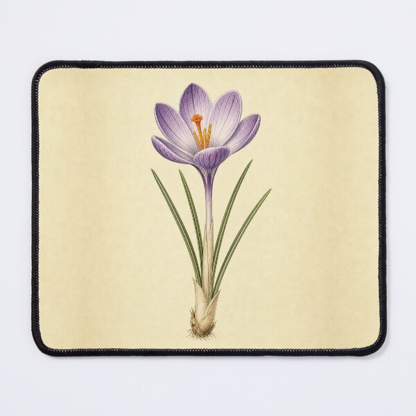 Item preview, Vintage Crocus Botanical Print designed and sold by NuvoraNest.