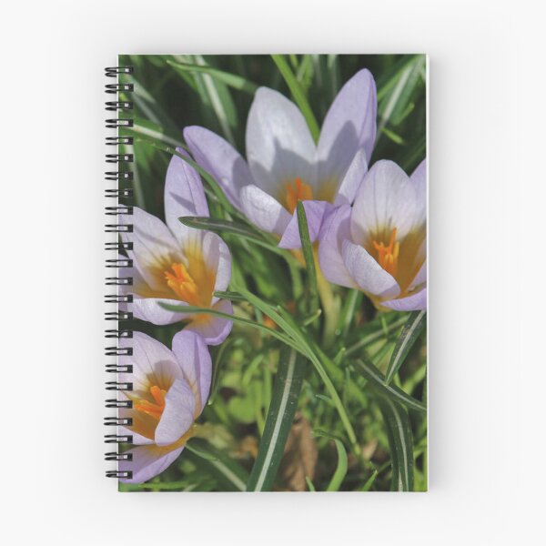 Item preview, Delicate Crocus Flowers in Spring designed and sold by londonartworks.