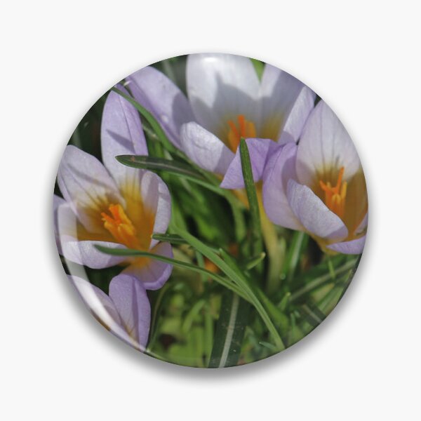 Item preview, Delicate Crocus Flowers in Spring designed and sold by londonartworks.