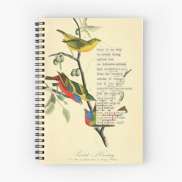 Item preview, Bird Divination: Painted Bunting (almanacofbirds.org) designed and sold by mariapopova.