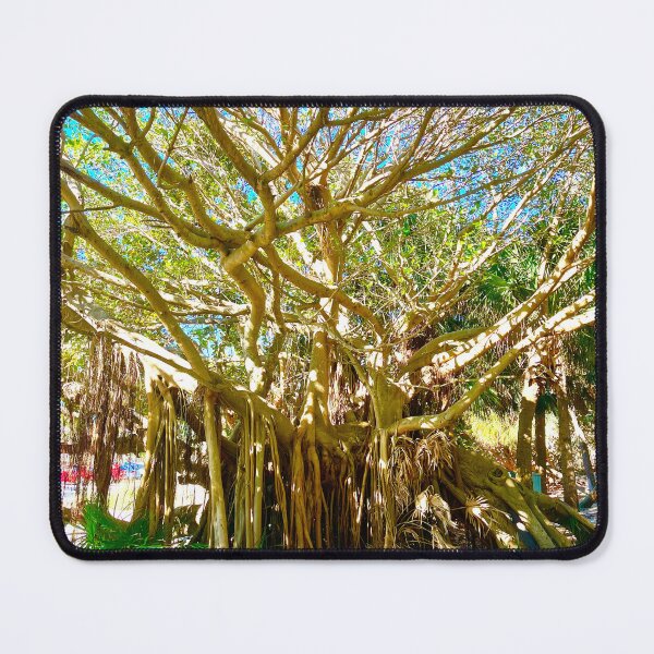 Item preview, Angel Oak of Lake Worth designed and sold by Leonaslens.