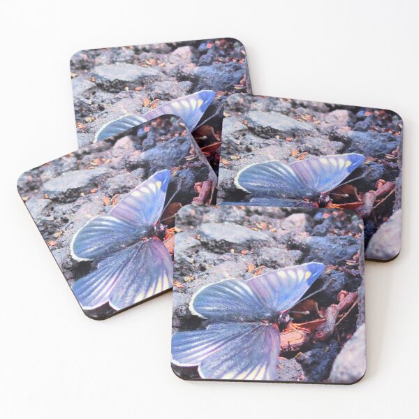 Item preview, Iridescent Blue Butterfly on Rocky Ground designed and sold by maragretgifts.