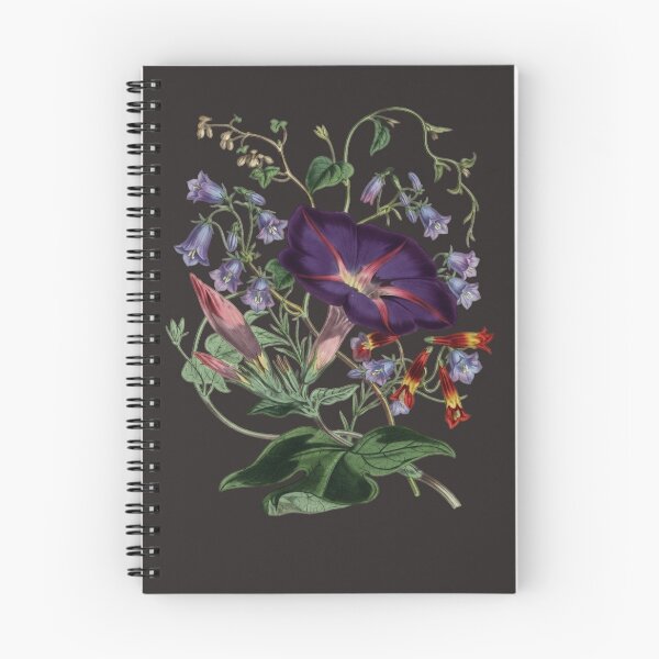 Item preview, Midnight Blooms: Vintage Botanical Purple Morning Glory & Bellflowers designed and sold by 63Hotpeppers.
