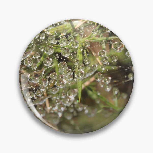 Item preview, Sunlight through dew on a Spider's web designed and sold by captain-huggy-bear.