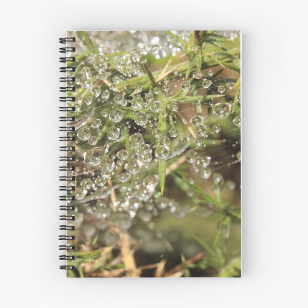 Item preview, Sunlight through dew on a Spider's web designed and sold by captain-huggy-bear.