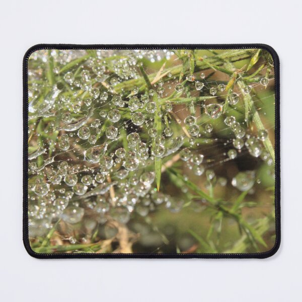 Item preview, Sunlight through dew on a Spider's web designed and sold by captain-huggy-bear.