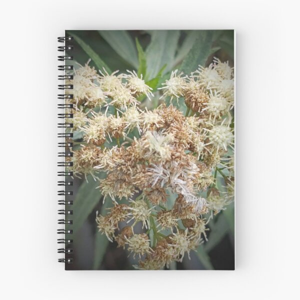 Item preview, Intricate Details of a Wildflower Cluster designed and sold by maragretgifts.