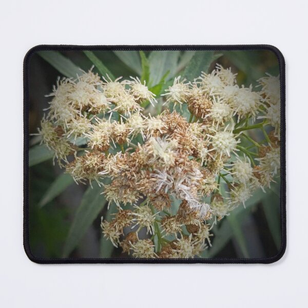 Item preview, Intricate Details of a Wildflower Cluster designed and sold by maragretgifts.