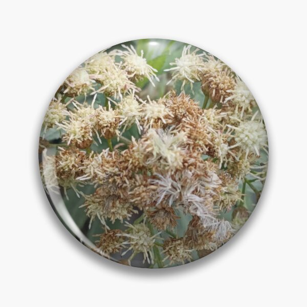 Item preview, Intricate Details of a Wildflower Cluster designed and sold by maragretgifts.