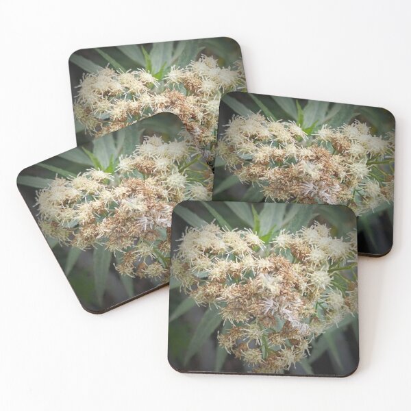 Item preview, Intricate Details of a Wildflower Cluster designed and sold by maragretgifts.