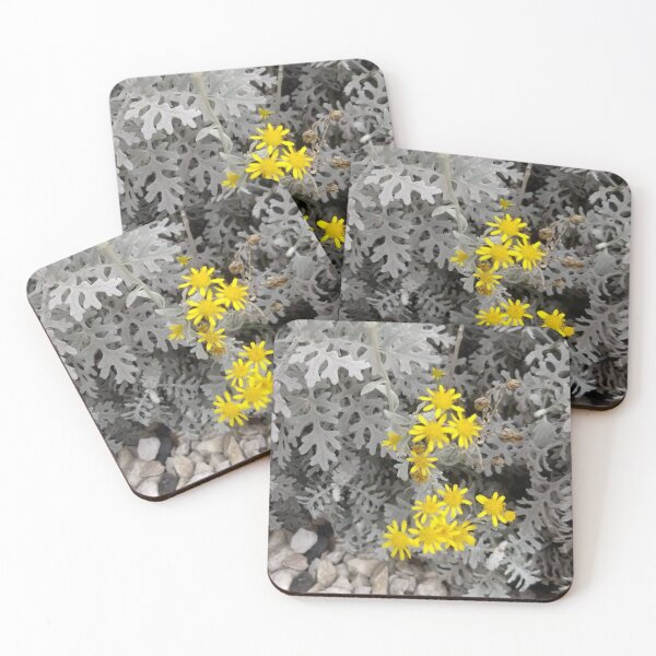 Item preview, Vivid Yellow Blooms Against Dusty Miller Foliage designed and sold by maragretgifts.