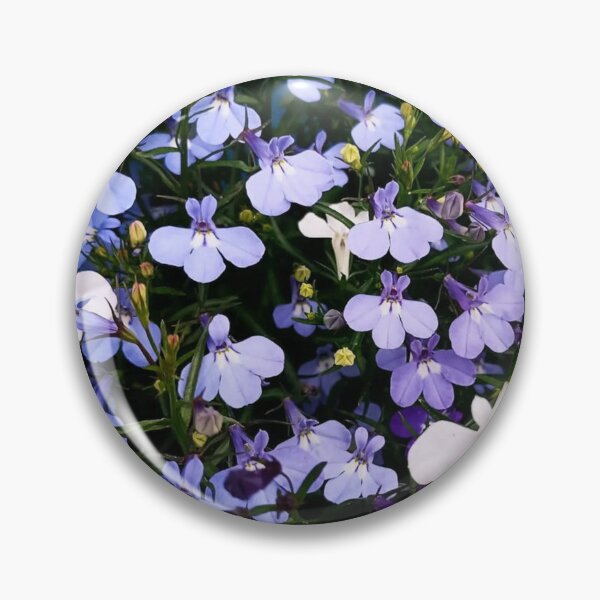 Item preview, A Vibrant Display of Blue and White Lobelia designed and sold by maragretgifts.