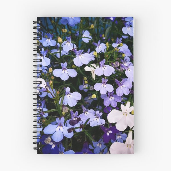 Item preview, A Vibrant Display of Blue and White Lobelia designed and sold by maragretgifts.
