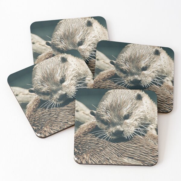 Item preview, Cute Wet Otter Close Up Photography | Adorable Wildlife Animal Wall Art designed and sold by Mypixieart.