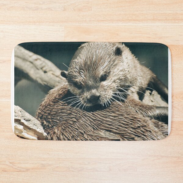 Item preview, Cute Wet Otter Close Up Photography | Adorable Wildlife Animal Wall Art designed and sold by Mypixieart.