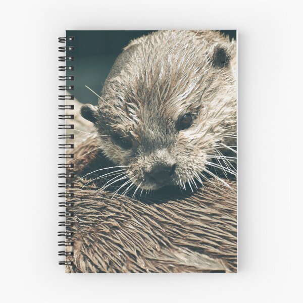 Item preview, Cute Wet Otter Close Up Photography | Adorable Wildlife Animal Wall Art designed and sold by Mypixieart.