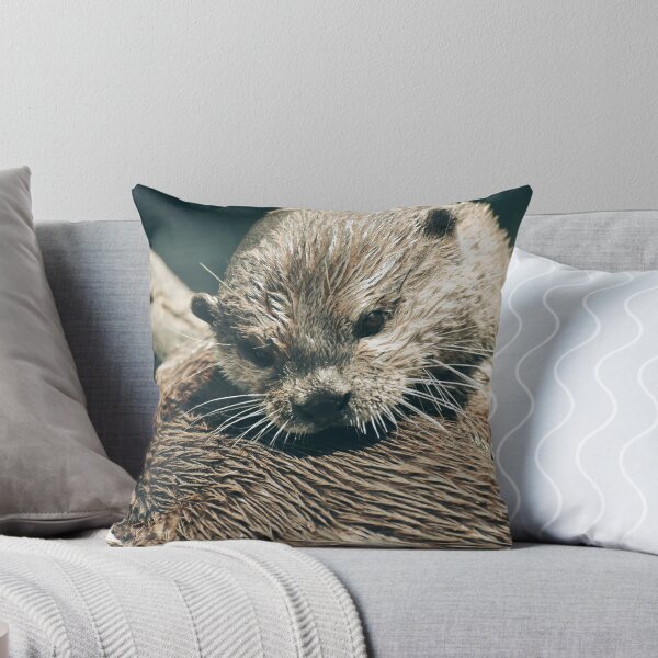 Item preview, Cute Wet Otter Close Up Photography | Adorable Wildlife Animal Wall Art designed and sold by Mypixieart.