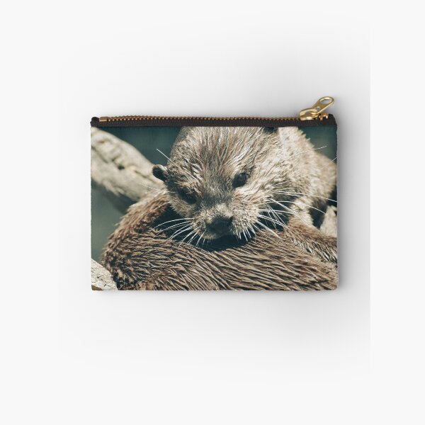 Item preview, Cute Wet Otter Close Up Photography | Adorable Wildlife Animal Wall Art designed and sold by Mypixieart.