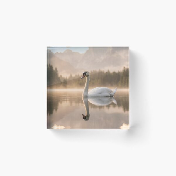 Item preview, Golden Hour Swan on Misty Lake Photography | Elegant Mountain Landscape Wall Art Sunrise designed and sold by Mypixieart.