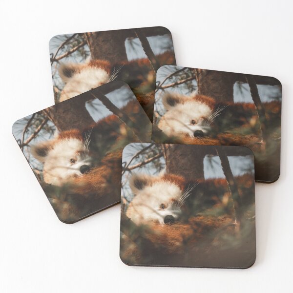 Item preview, Sleeping Red Panda in Tree Photography | Cute Wildlife Forest Wall Art designed and sold by Mypixieart.