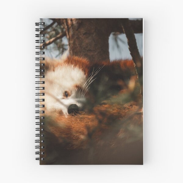 Item preview, Sleeping Red Panda in Tree Photography | Cute Wildlife Forest Wall Art designed and sold by Mypixieart.