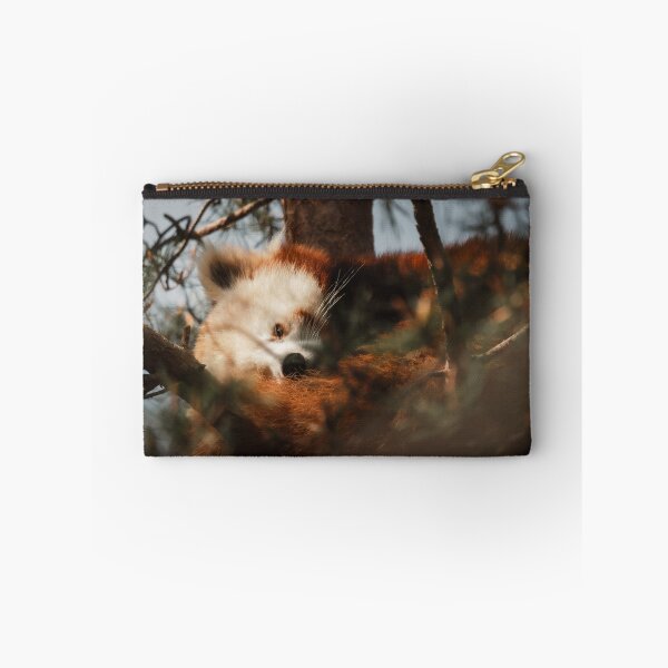 Item preview, Sleeping Red Panda in Tree Photography | Cute Wildlife Forest Wall Art designed and sold by Mypixieart.