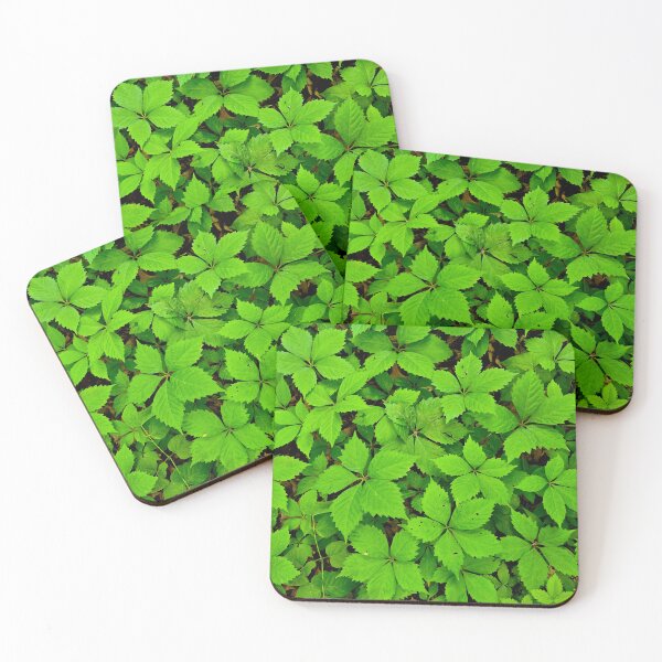 Item preview, Green Blanket designed and sold by bjtomiko.