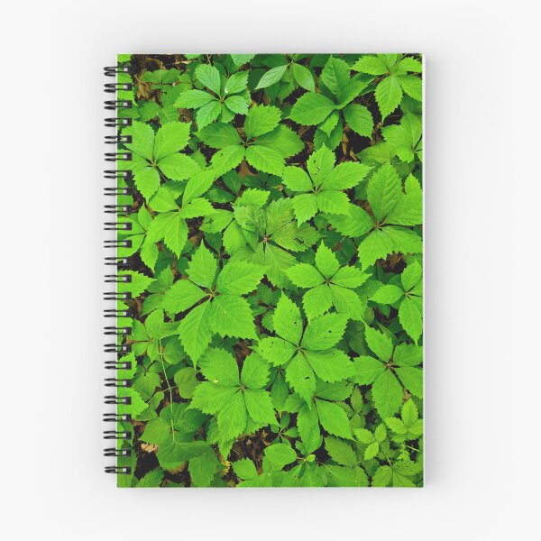 Item preview, Green Blanket designed and sold by bjtomiko.