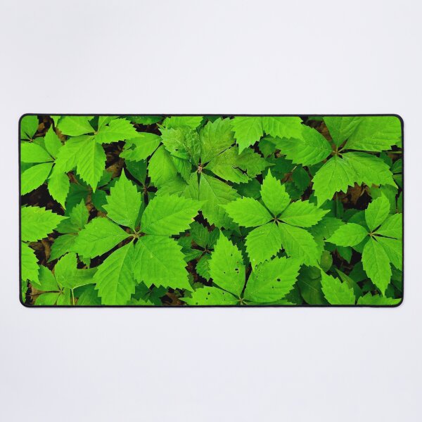 Item preview, Green Blanket designed and sold by bjtomiko.