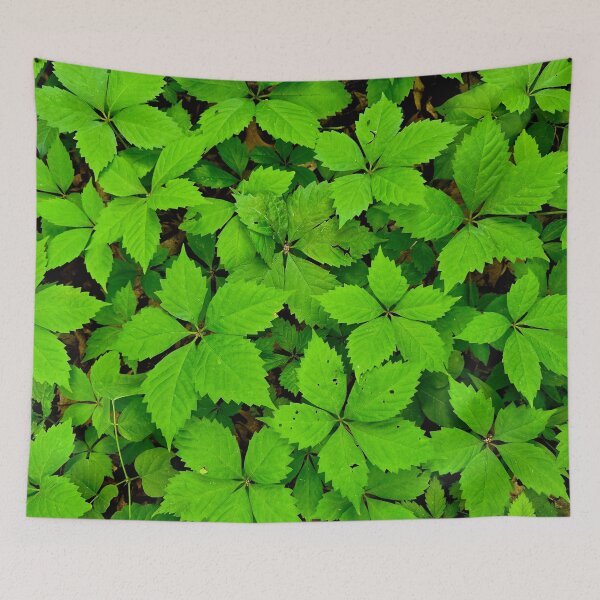 Item preview, Green Blanket designed and sold by bjtomiko.