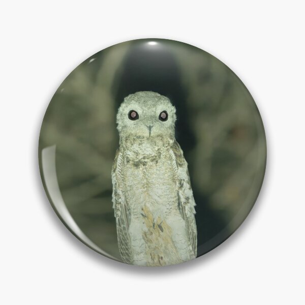 Item preview, Night Owl designed and sold by Ianthe-Safari.