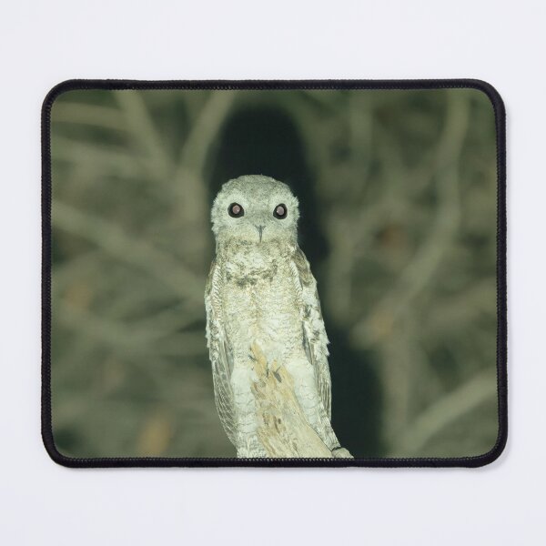 Item preview, Night Owl designed and sold by Ianthe-Safari.