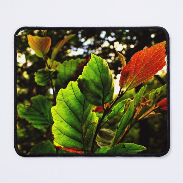 Item preview, Leaves in the Sun designed and sold by HollowTree11.
