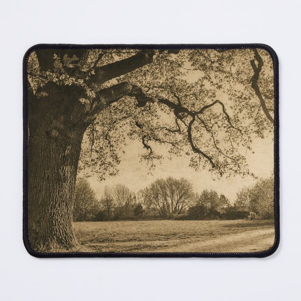 Item preview, Late Afternoon designed and sold by Ashton Hall Clothing Company .