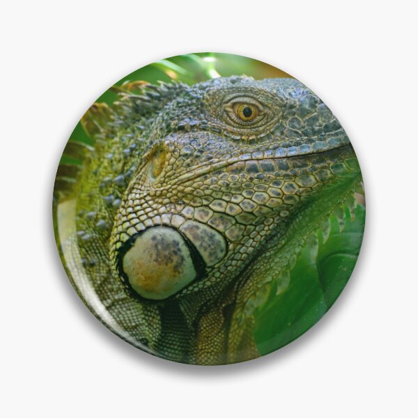 Item preview, Costa Rican Iguana designed and sold by IzzyMeiArt.