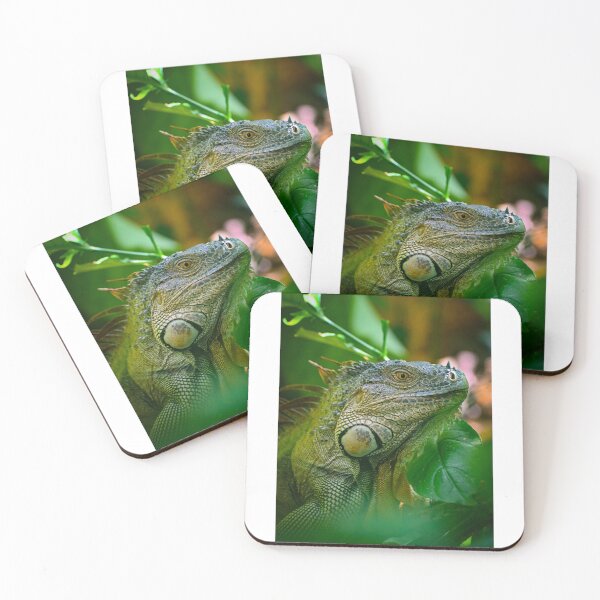 Item preview, Costa Rican Iguana designed and sold by IzzyMeiArt.