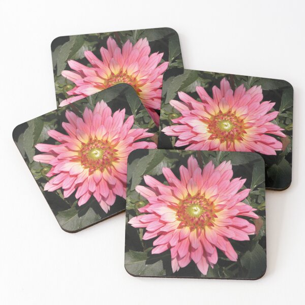 Item preview, Pretty in Pink Blooming Flower Photo designed and sold by Here's To Endless Possibilities.