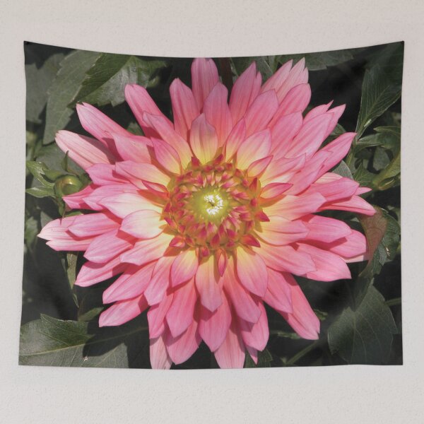 Item preview, Pretty in Pink Blooming Flower Photo designed and sold by Here's To Endless Possibilities.