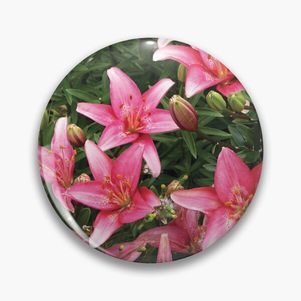 Item preview, Lovely Pink Lilies in Full Bloom Photo designed and sold by Here's To Endless Possibilities.