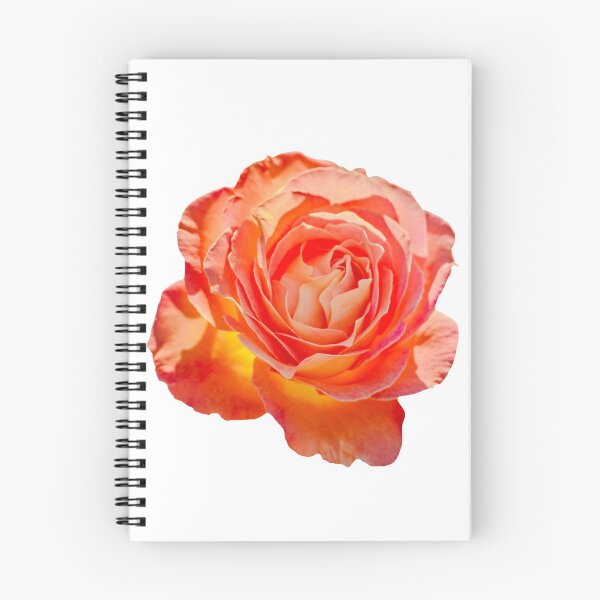 Item preview, Orange and Yellow Rose designed and sold by JulieAnnPix.