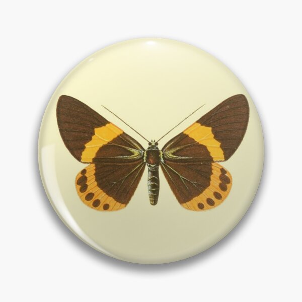 Item preview, Vintage Botanical Butterfly Illustration - Antique Natural History Print designed and sold by footnotes-club.