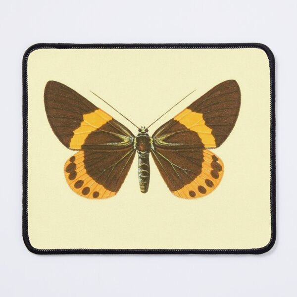 Item preview, Vintage Botanical Butterfly Illustration - Antique Natural History Print designed and sold by footnotes-club.