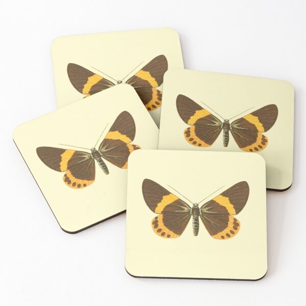 Item preview, Vintage Botanical Butterfly Illustration - Antique Natural History Print designed and sold by footnotes-club.