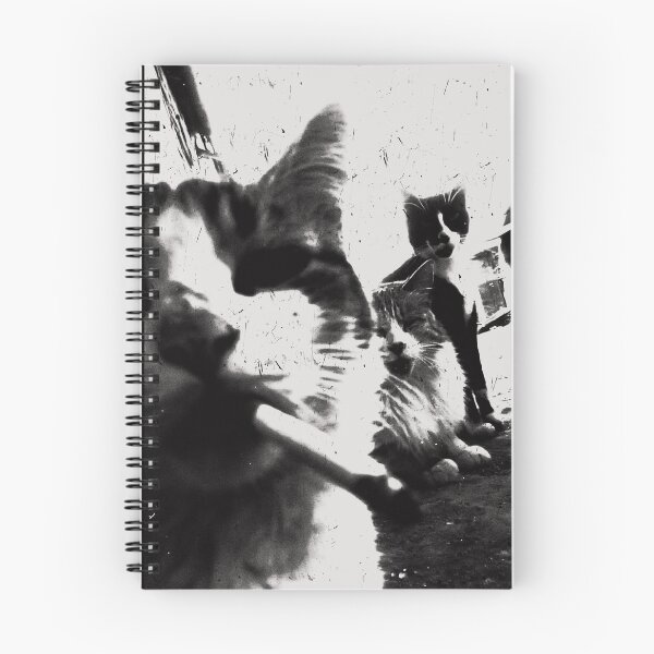 Item preview, Copy of Gangster Cat MEME FUNNY designed and sold by delllsdesigns.