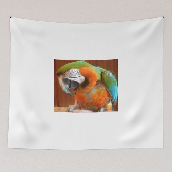 Item preview, Harlequin Macaw designed and sold by jennyleeandjim.