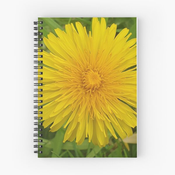 Item preview, Great yellow British Dandelion  designed and sold by LifeLookingCloser.