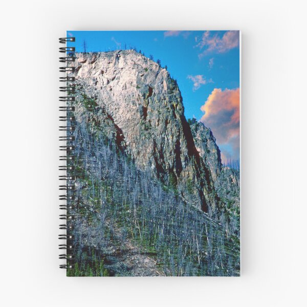 Item preview, Mountainside and Forested Slopes, Yellowstone, Wyoming designed and sold by AMacGPhilly.