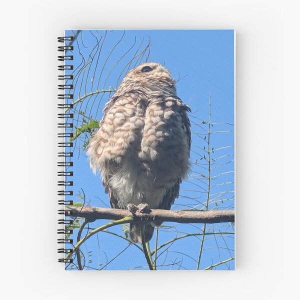 Item preview, An little owl friend  designed and sold by LifeLookingCloser.